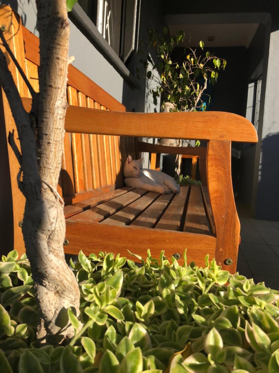 Albergo For Backpackers Plettenberg Bay Exteriör bild